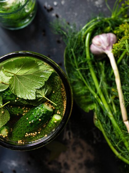 fermentierte Gurken