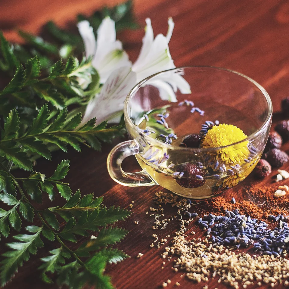 Tee mit Kräutern und Gewürzen  | © Unsplash