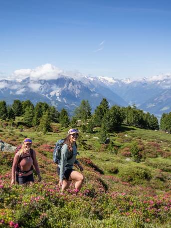 Zwei Wanderinnen auf Bergpfad mit Almrosen vor Alpenpanorama | © Innsbruck Tourismus, Eye5 - Jonas Schwarzwälder