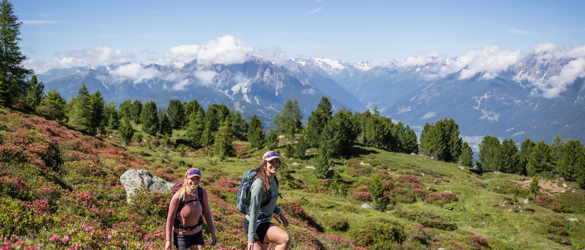 Zwei Wanderinnen auf Bergpfad mit Almrosen vor Alpenpanorama | © Innsbruck Tourismus, Eye5 - Jonas Schwarzwälder