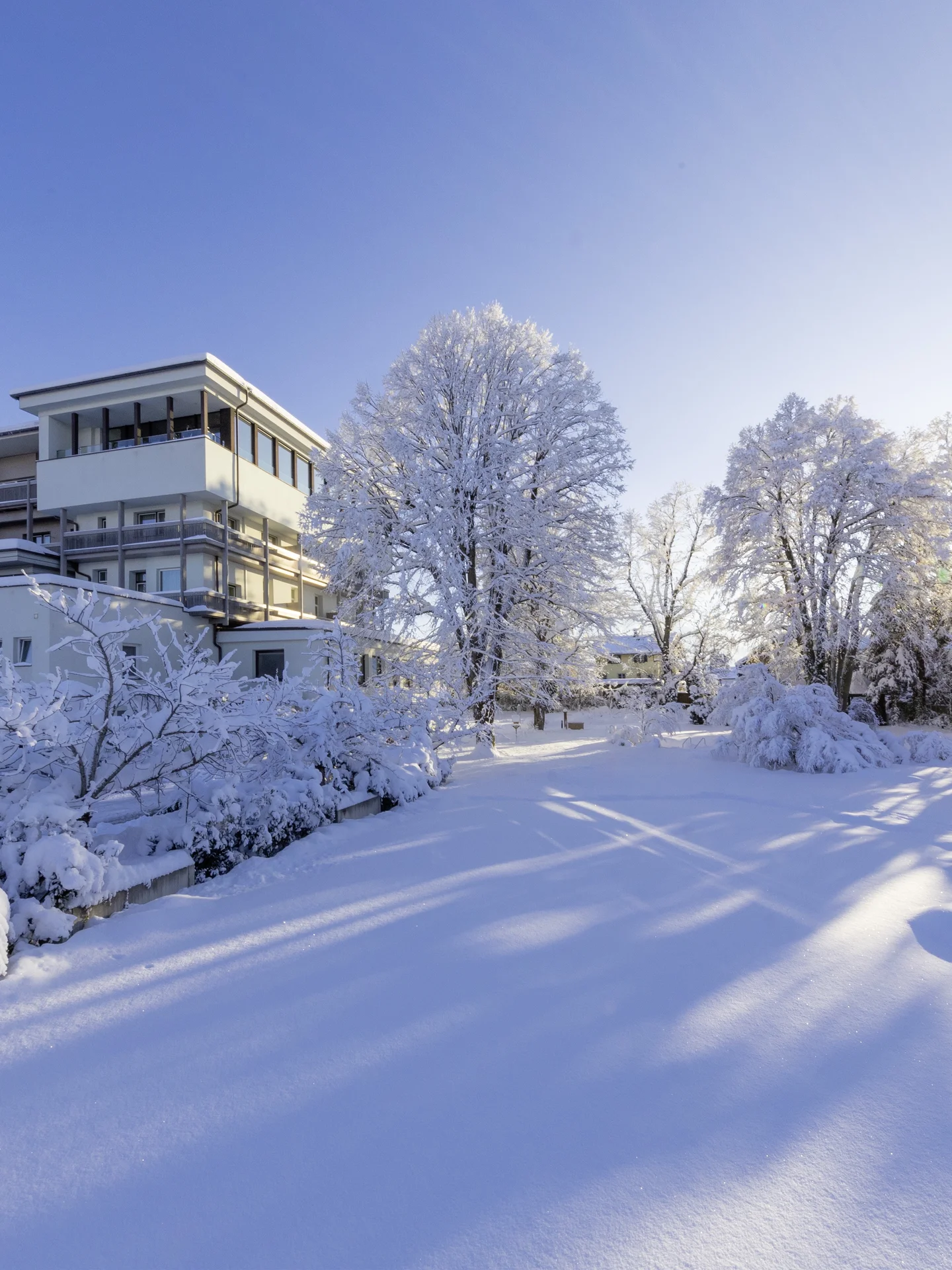 Winterliches Park Igls