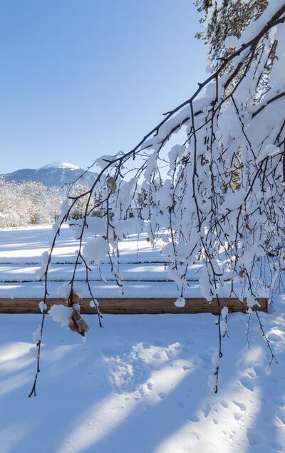 Wintergarten Park Igls