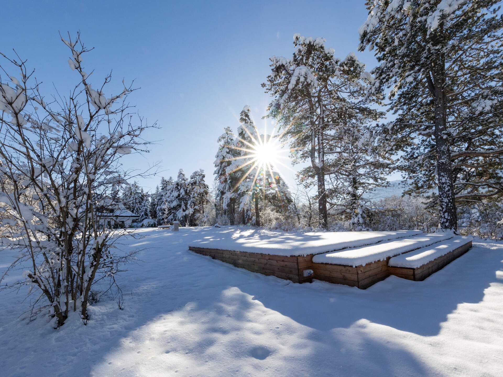 Winterlandschaft Park Igls