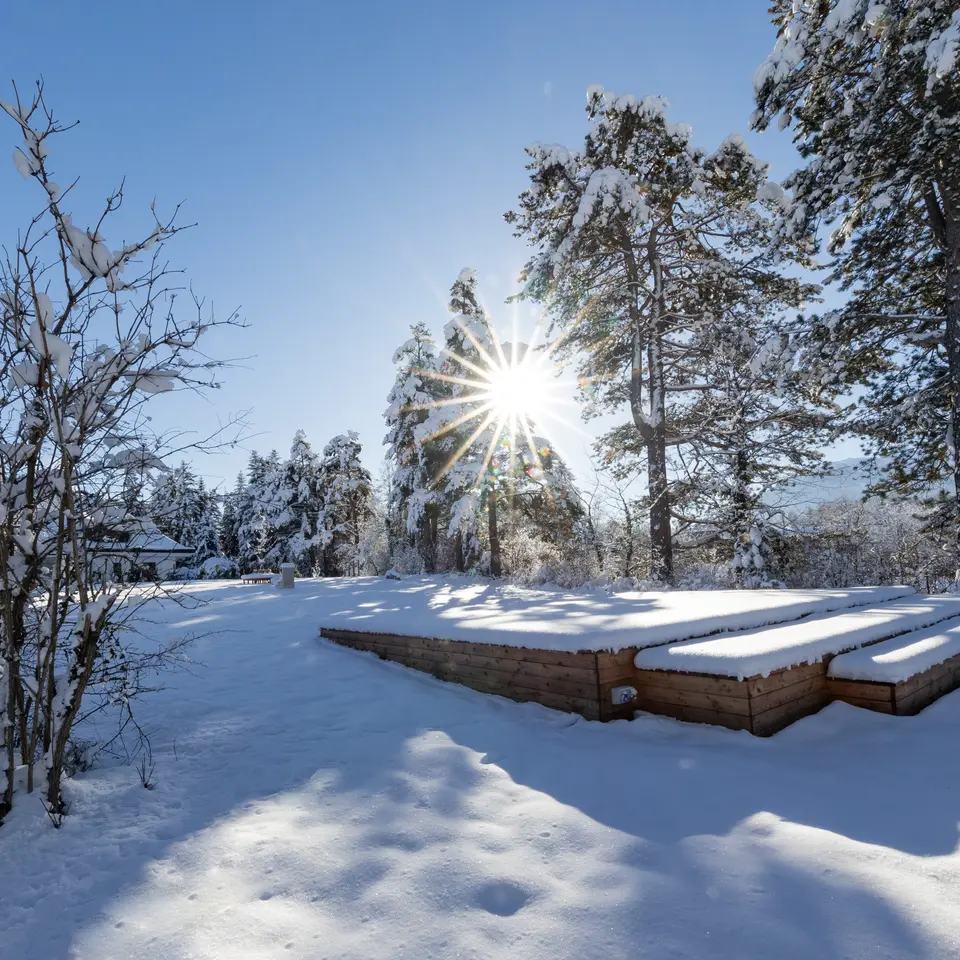 Winterlandschaft Park Igls