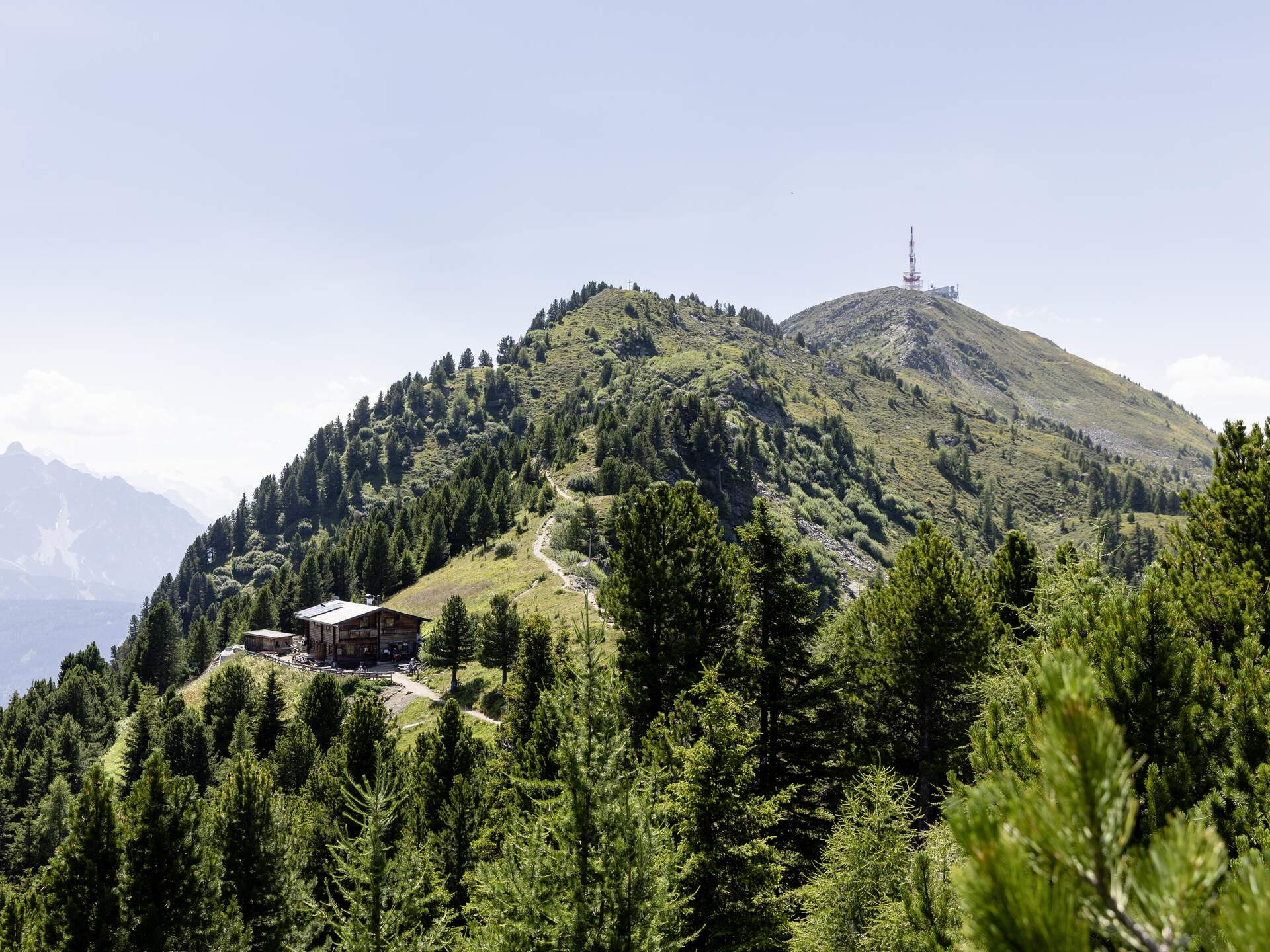 Patscherkofel im Sommer