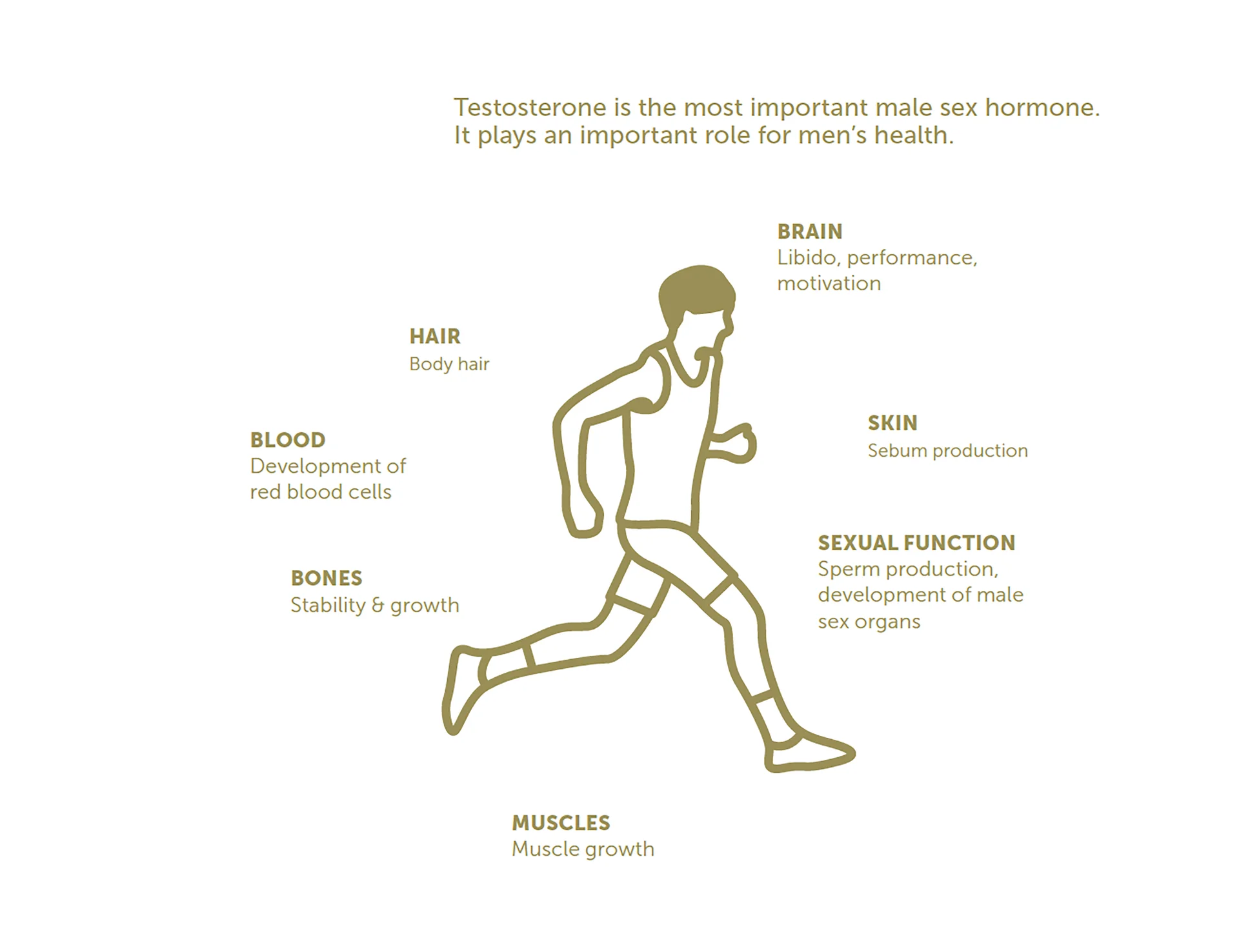 Exercise illustration